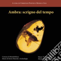 Ambra: scrigno del tempo. Ediz. illustrata libro di Pontin C. (cur.); Celi M. (cur.)