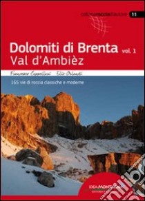 Dolomiti di Brenta. Vol. 1: Val d'Ambièz. 165 vie di roccia classiche e moderne libro di Cappellari Francesco; Orlandi Elio