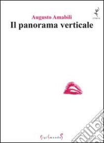 Il panorama verticale libro di Amabili Augusto