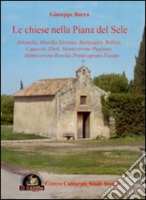 Le chiese nella Piana del Sele. Albanella, Altavilla Silentina, Battaglia, Bellizzi, Capaccio, Eboli, Montecorvino Pugliano, Montecorvino Rovella, Pontecagnano Faiano libro di Barra Giuseppe