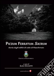 Piczum ferratum sacrum. Storia degli edifici di culto di Pizzoferrato libro di Cicchitti Luigi