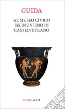 Guida al museo civico Selinuntino di Castelvetrano libro di De Vita P. (cur.)