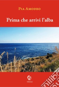 Prima che arrivi l'alba libro di Amodeo Pia