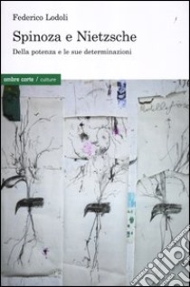 Spinoza e Nietzsche. Della potenza e le sue determinazioni libro di Lodoli Federico