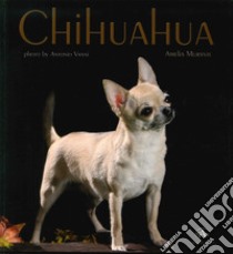 Chihuahua libro di Murante Amelia