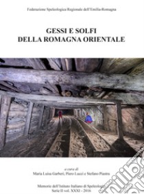 Gessi e solfi della Romagna orientale libro di Garberi M. L. (cur.); Lucci P. (cur.); Piastra S. (cur.)