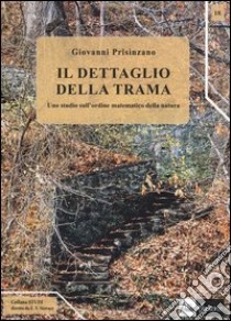 Il dettaglio della trama. Uno studio sull'ordine matematico della natura libro di Prisinzano Giovanni