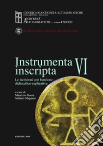 Instrumenta inscripta VI. Le iscrizioni con funzione didascalico-esplicativa libro di Buora M. (cur.); Magnani S. (cur.)