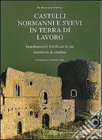 Castelli normanni e svevi in Terra di Lavoro. Insediamenti fortificati in un territorio di confine libro di Pistilli Pio Francesco