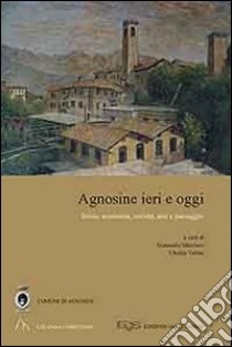 Agnosine ieri e oggi. Storia, economia, società, arte e paesaggio libro