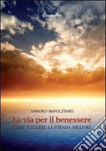 La via per il benessere. Come scegliere la strada migliore libro di Napolitano Sandro