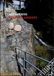 Stefano Arienti. All'aperto. Ediz. multilingue libro di Casavecchia Barbara