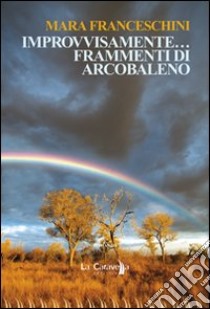 Improvvisamente... frammenti di arcobaleno libro di Franceschini Mara