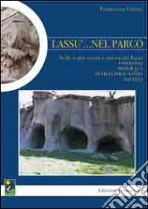 Lassù... nel parco. Nelle realtà sociali a sud-est del parco Cotronei, Mesoraca, Petilia Policastro, Savelli libro di Cosco Francesco