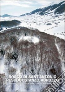 Bosco di Sant'Antonio. Pescocostanzo, Abruzzo. The 23 international Carlo Scarpa prize for gardens. Ediz. multilingue libro di Luciani D. (cur.); Boschiero P. (cur.); Sabatini F. (cur.)