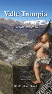 Valle Trompia. I tesori nascosti. Ediz. illustrata libro di Zane Marcello