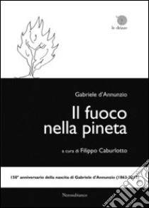 Il fuoco nella pineta libro di D'Annunzio Gabriele; Caburlotto F. (cur.)