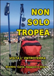 Non solo Tropea... Visita l'entroterra (Brattirò, Caria, Gasponi, Drapia) libro di Vallone M. (cur.); Pugliese F. (cur.)