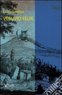 Vesuvio felix libro di Sandon Lucio