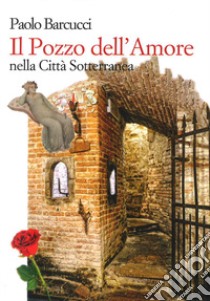 Il pozzo dell'amore nella città sotterranea. Ediz. italiana e inglese libro di Barcucci Paolo