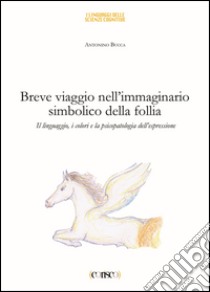 Breve viaggio nell'immaginario simbolico della follia. Il linguaggio i colori e la psicopatologia dell'espressione libro di Bucca Antonino