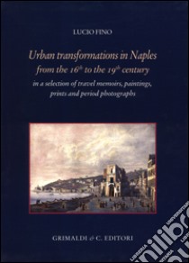 Urban transformation in Naples from the 16th to 19th centuries in a selection of travel memories, paintings, prints and period photographs. Ediz. illustrata libro di Fino Lucio