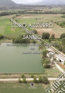 L'oro azzurro del Sannio. Gli impianti del consorzio di bonifica del Sannio Alifano. Ediz. per la scuola libro di Caracciolo Giovanni Giuseppe; Altobelli Claudio