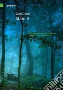 Stato A libro di Conti Gian