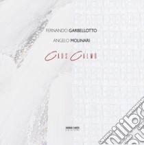 Caos Calmo. Fernando Garbellotto - Angelo Molinari. Ediz. italiana e inglese libro di Caione G. (cur.)