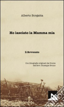 Ho lasciato la mamma mia libro di Borgatta Alberto