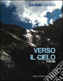 Verso il cielo libro di Davideadesso