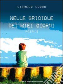 Nelle briciole dei miei giorni libro di Loddo Carmelo