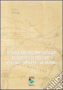 Storia dei più importanti acquedotti dell'Ati3. Foligno, Spoleto, Valnerina libro di Fratta Cristina; Galilei F. (cur.); Pellegrini M. (cur.)