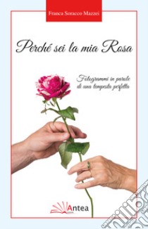 Perché sei la mia Rosa. Fotogrammi in parole di una tempesta perfetta libro di Soracco Mazzei Franca