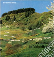 Preistoria in Valpolicella libro di Salzani Luciano