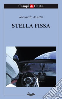 Stella fissa libro di Mattii Riccardo