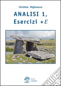 Analisi matematica. Esercizi + E. Vol. 1 libro di Migliavacca Christian