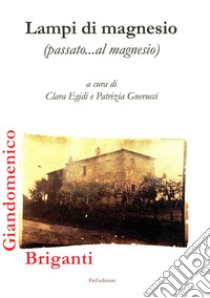 Lampi di magnesio (passato...al magnesio) libro di Briganti Giandomenico; Egidi C. (cur.); Gnerucci P. (cur.)