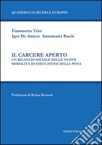 Il carcere aperto. Un bilancio sociale delle nuove modalità di esecuzione della pena libro di Trisi Fiammetta; De Amicis Igor; Raciti Annamaria