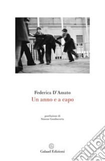 Un anno e a capo libro di D'Amato Federica