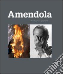 Aurelio Amendola. Fotografo per l'arte e per gli artisti. Ediz. illustrata libro di La Spina Elena