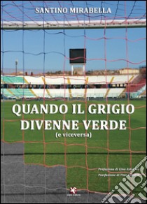 Quando il grigio divenne verde (e viceversa) libro di Mirabella Santino