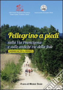 Pellegrino a piedi sulla via Francigena e sulle antiche vie delle fede. Vademecum per il credente libro di Dosio Michele