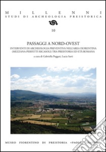 Passaggi a nord-ovest. Interventi di archeologia preventiva nell'area fiorentina (Mezzana-Perfetti Ricasoli) tra preistoria ed età romana libro di Poggesi G. (cur.); Sarti L. (cur.)