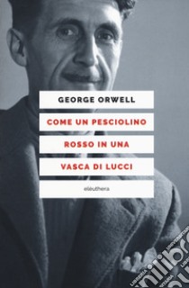 Come un pesciolino rosso in una vasca di lucci libro di Orwell George; Giacopini V. (cur.)