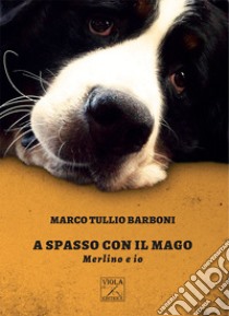 A spasso con il mago. Merlino e io libro di Barboni Marco Tullio