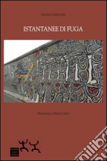 Istantanee di fuga libro di Cerqueni Liliana