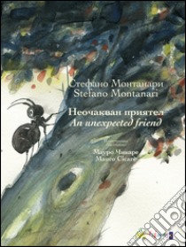 An unexpected friend libro di Montanari Stefano