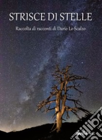 Strisce di stelle libro di Lo Scalzo Dario