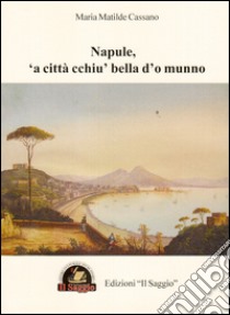 Napule, 'a città cchiu' bella d'o munno libro di Cassano M. Matilde